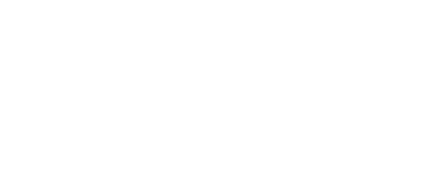 vet-n-pet DIRECT logo