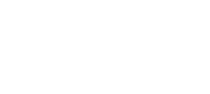 MVST logo
