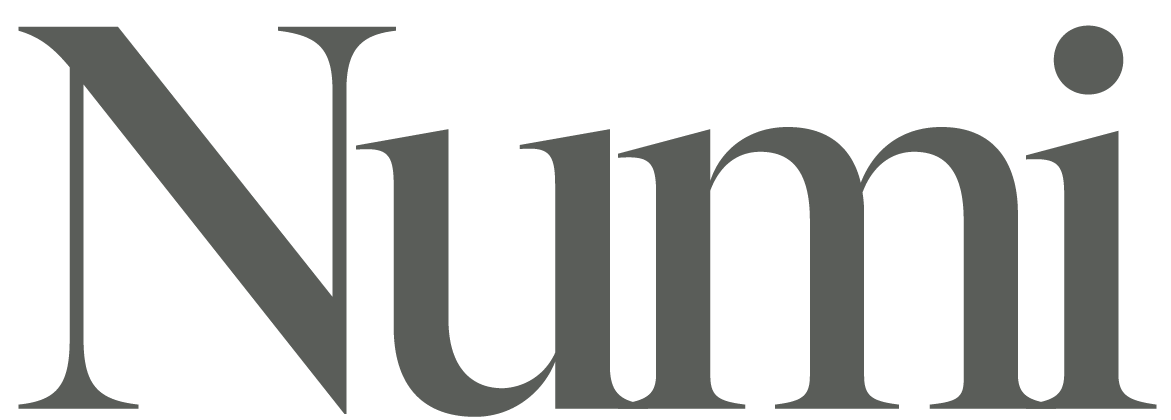 Numi FAQ logo