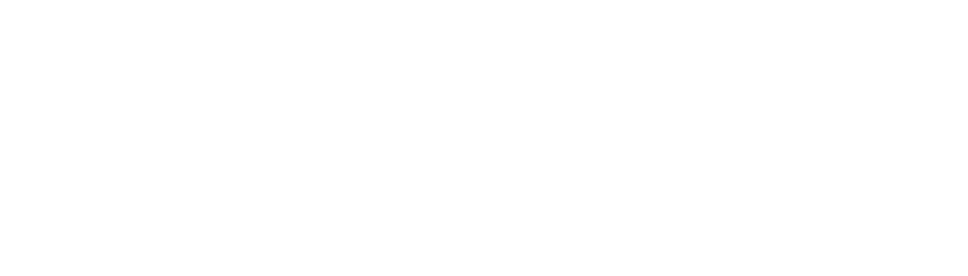 Senifone logo