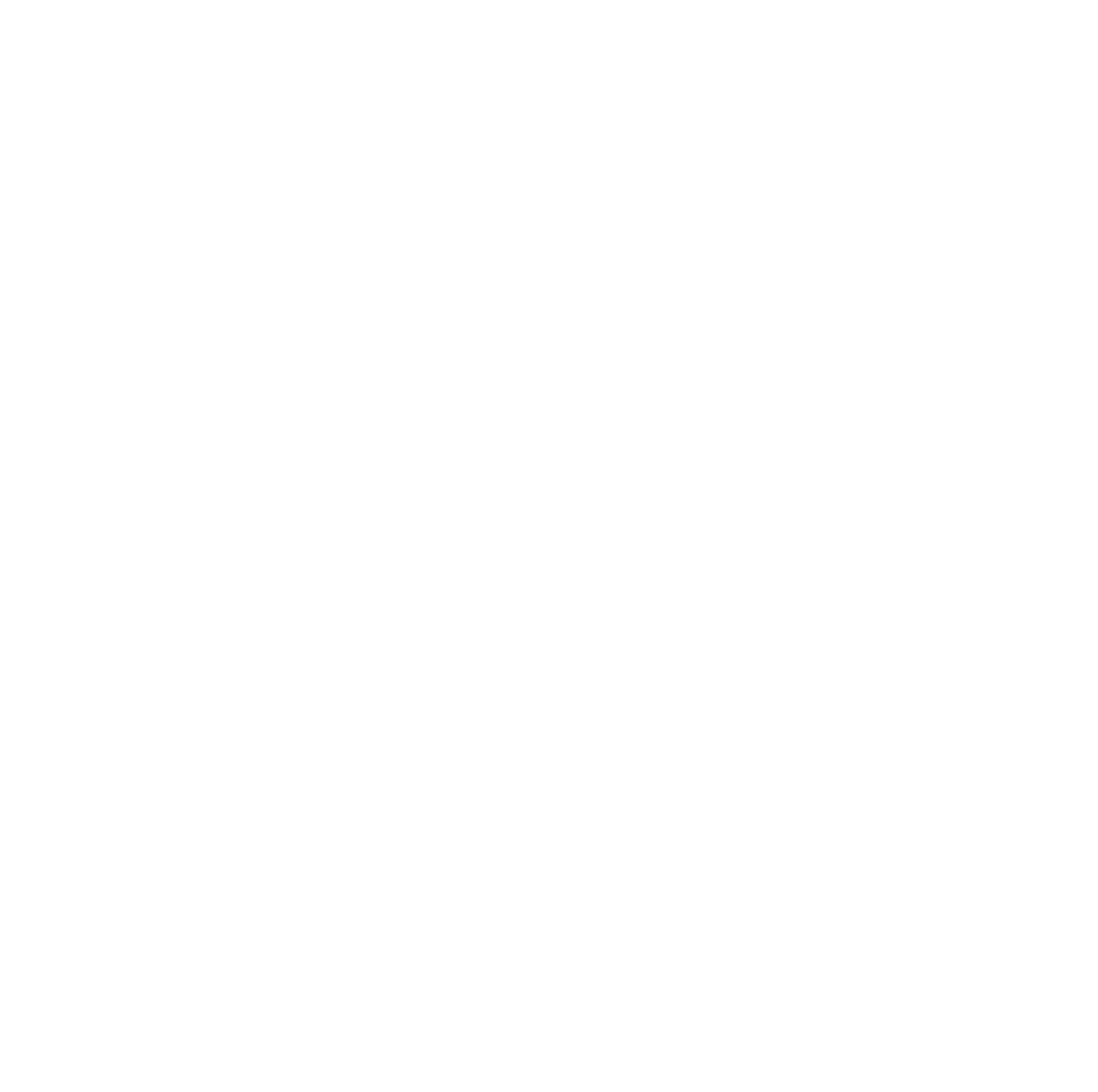 Axon Optics logo