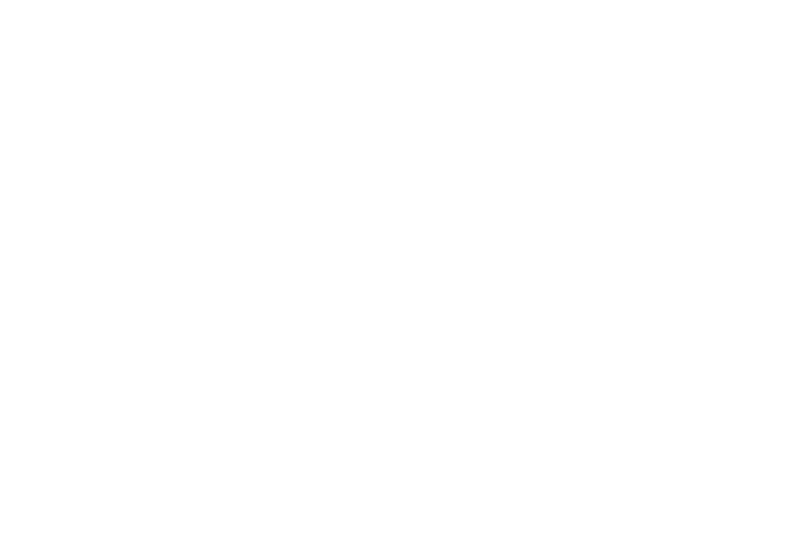 Viori FAQ logo