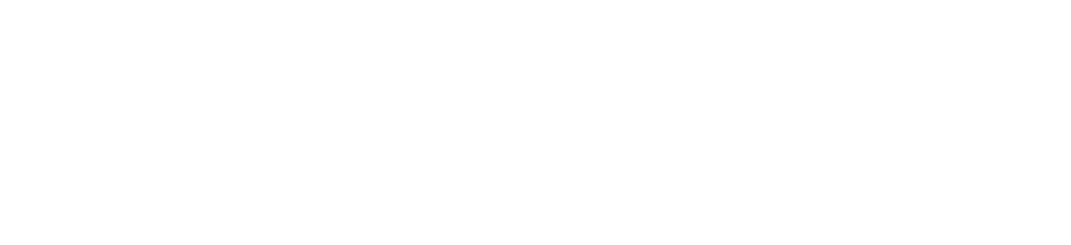 SeaSucker US logo