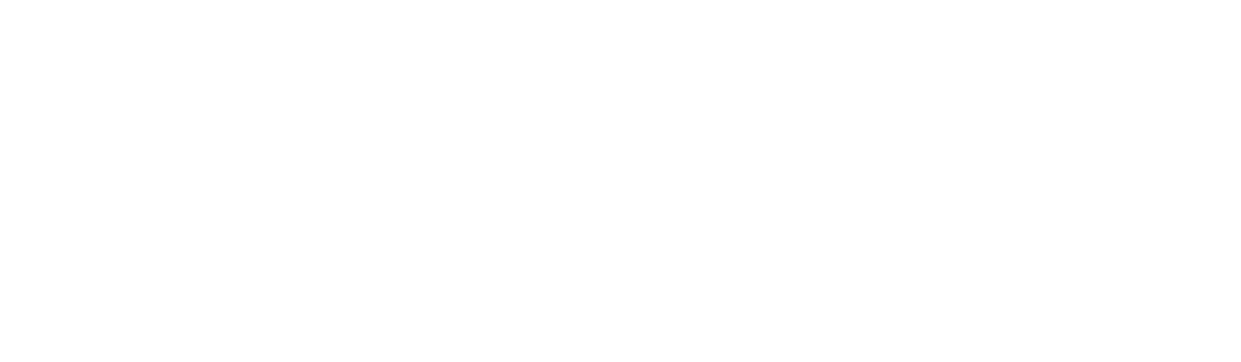 NewSmile USA logo