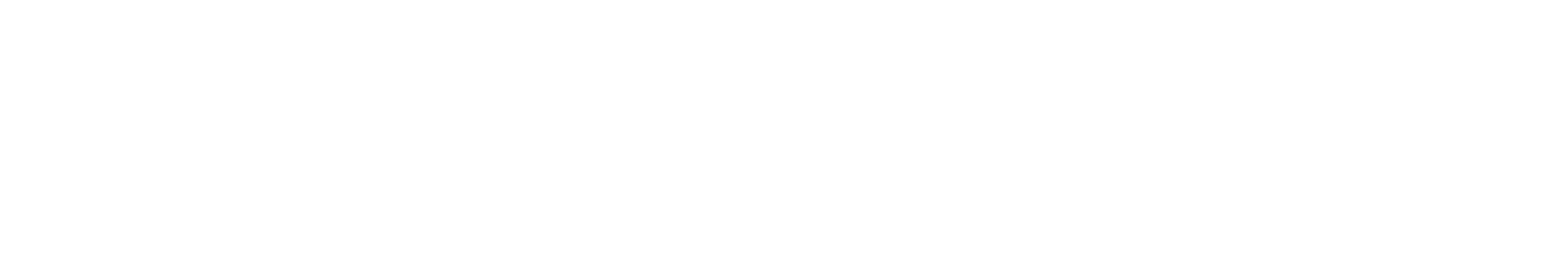 Padel USA logo