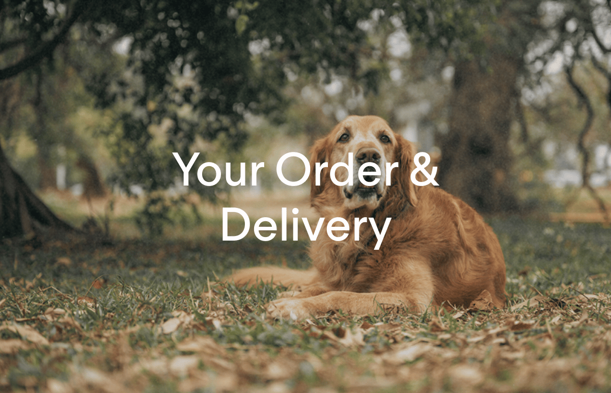 Your Order & Delivery