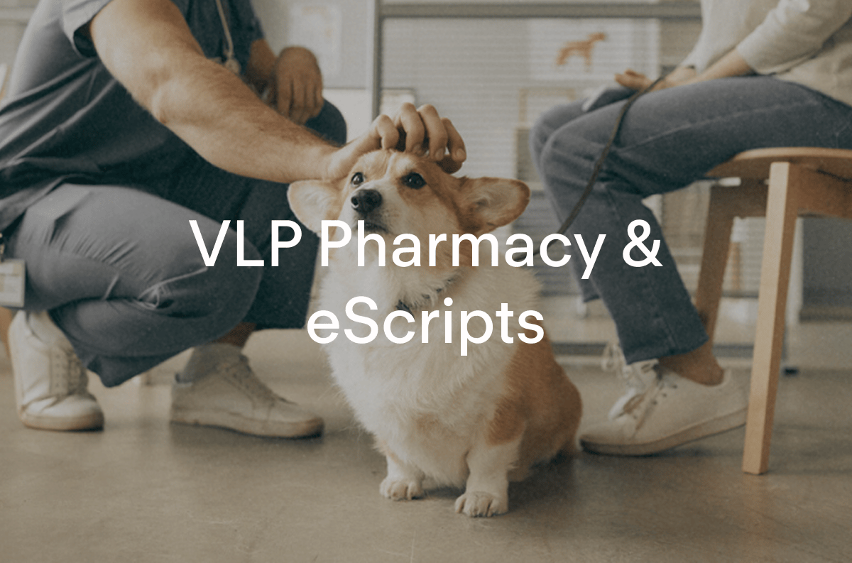 VLP Pharmacy & eScripts
