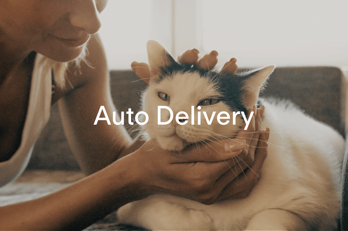 Auto Delivery