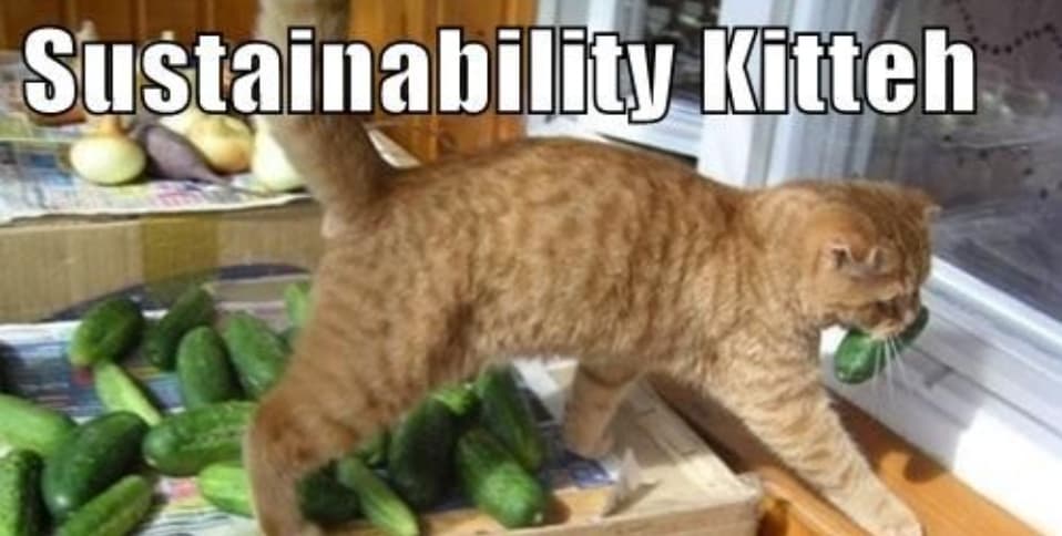 Sustainability at Fuzzball