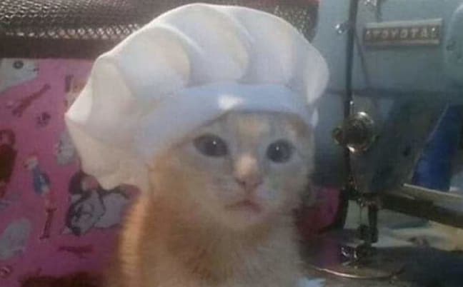 Products & Ingredients