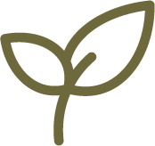 Care Guide