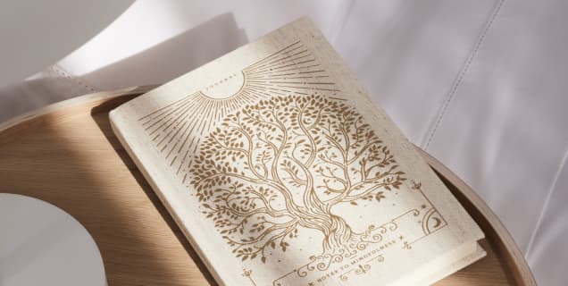 Notes to Mindfulness Journal