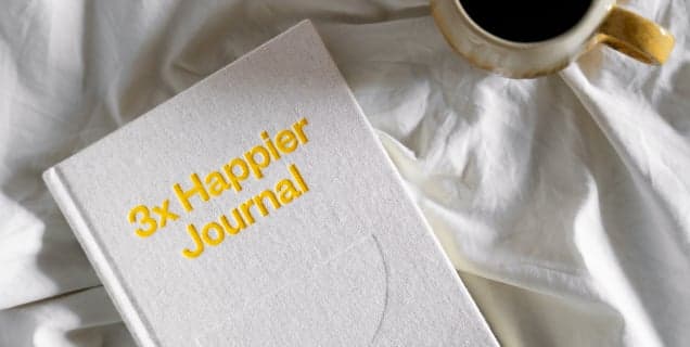 3X Happier Journal