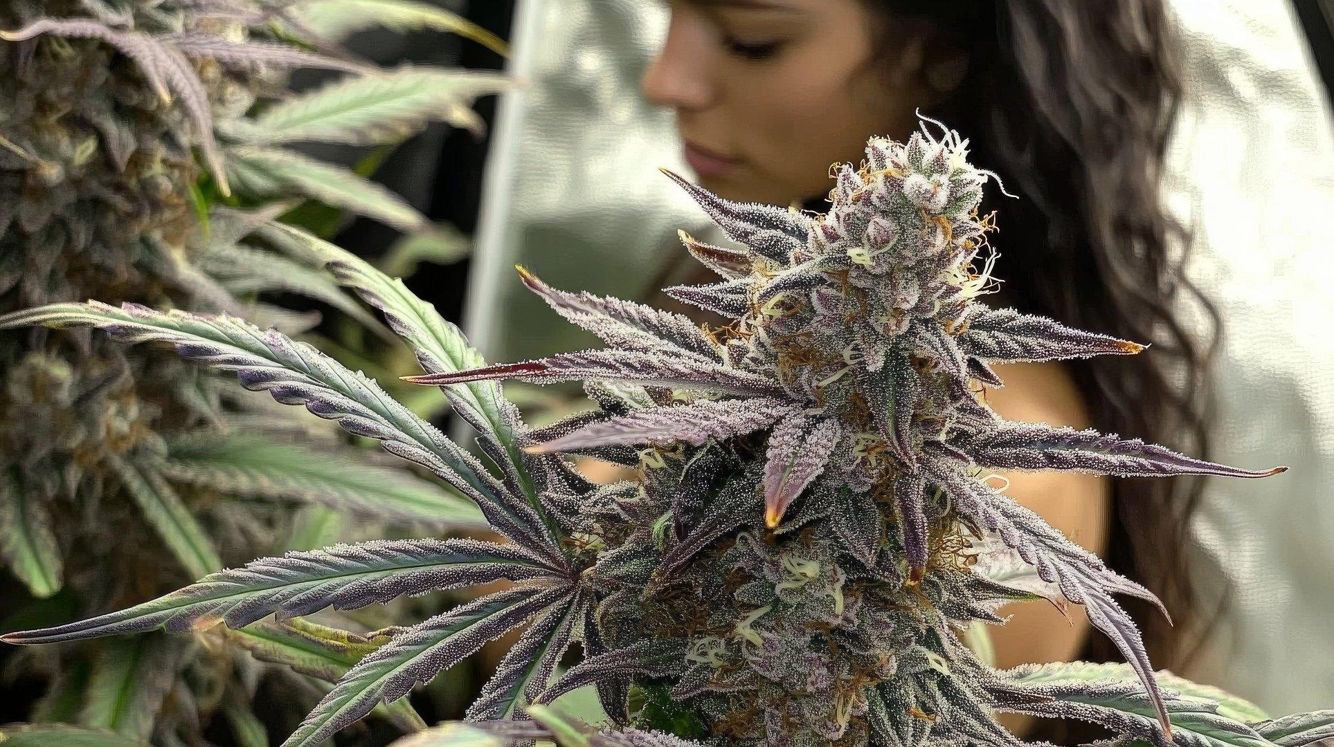 Strain Selection