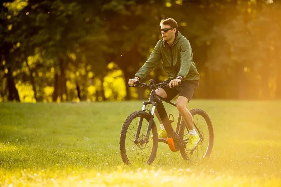 Specifications about eBikeling Electric Bikes