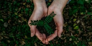 Sustainability