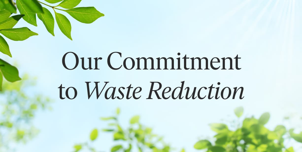 Sustainability