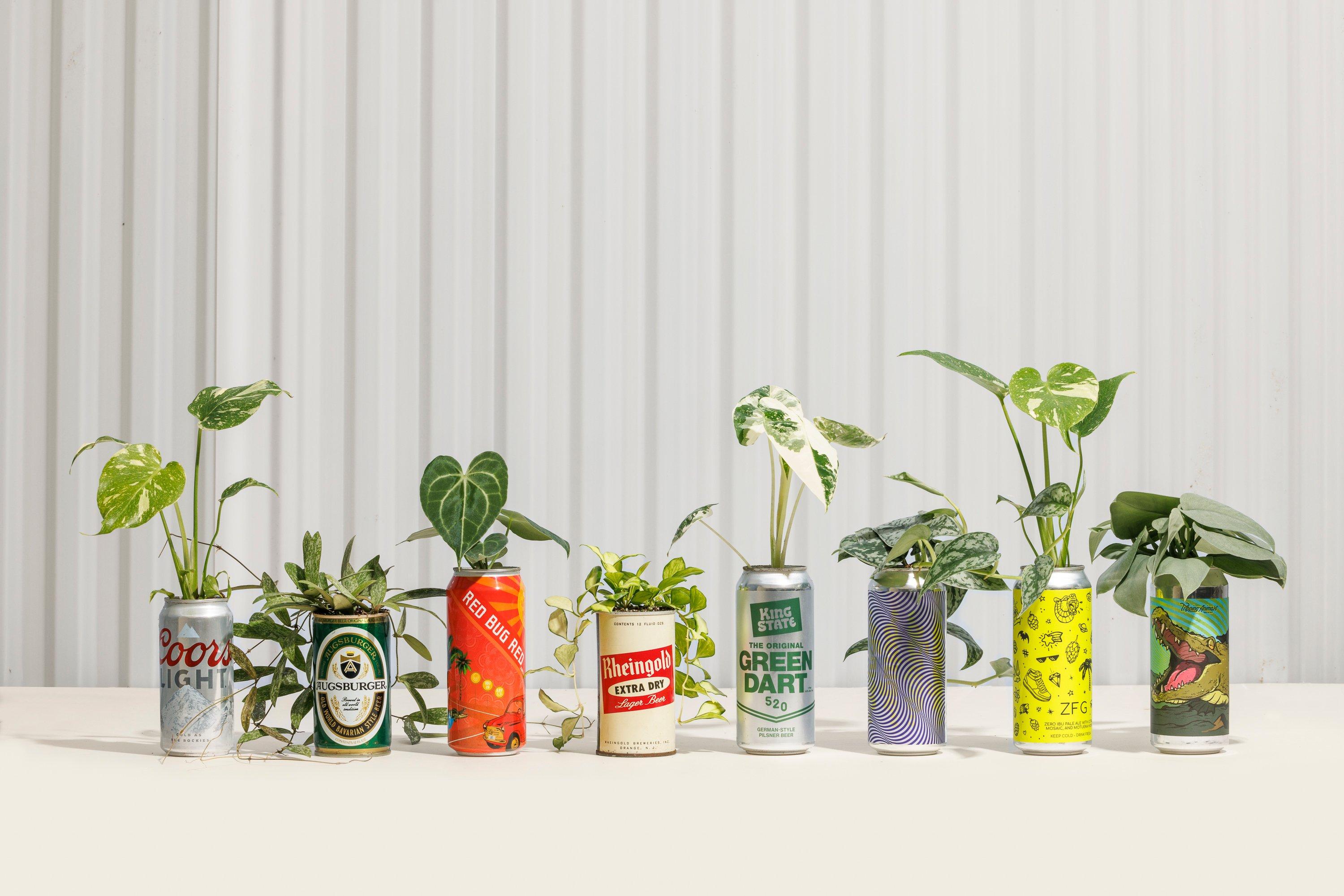 Order Help & Policies