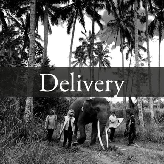 Orders & Delivery