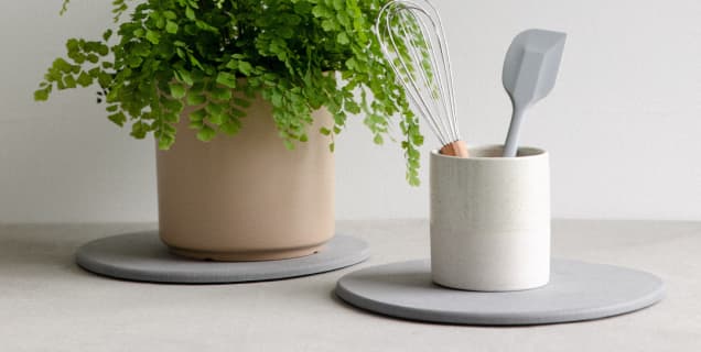 Stone Saucers