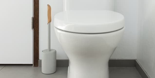 Toilet Brush & Holder