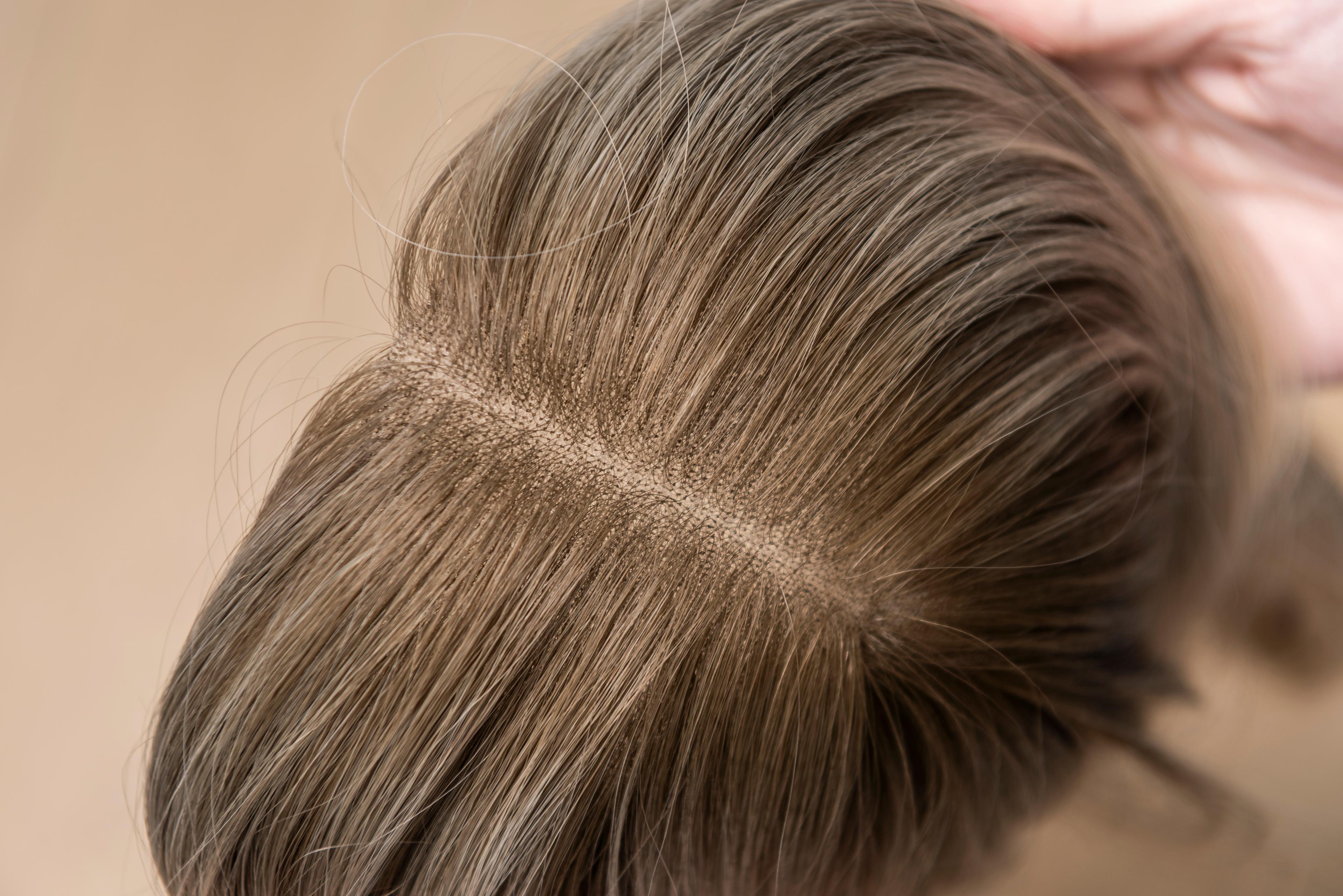 Warranty & Lusta Quality Standards