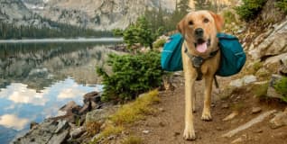 The Raw Rewards Trail
