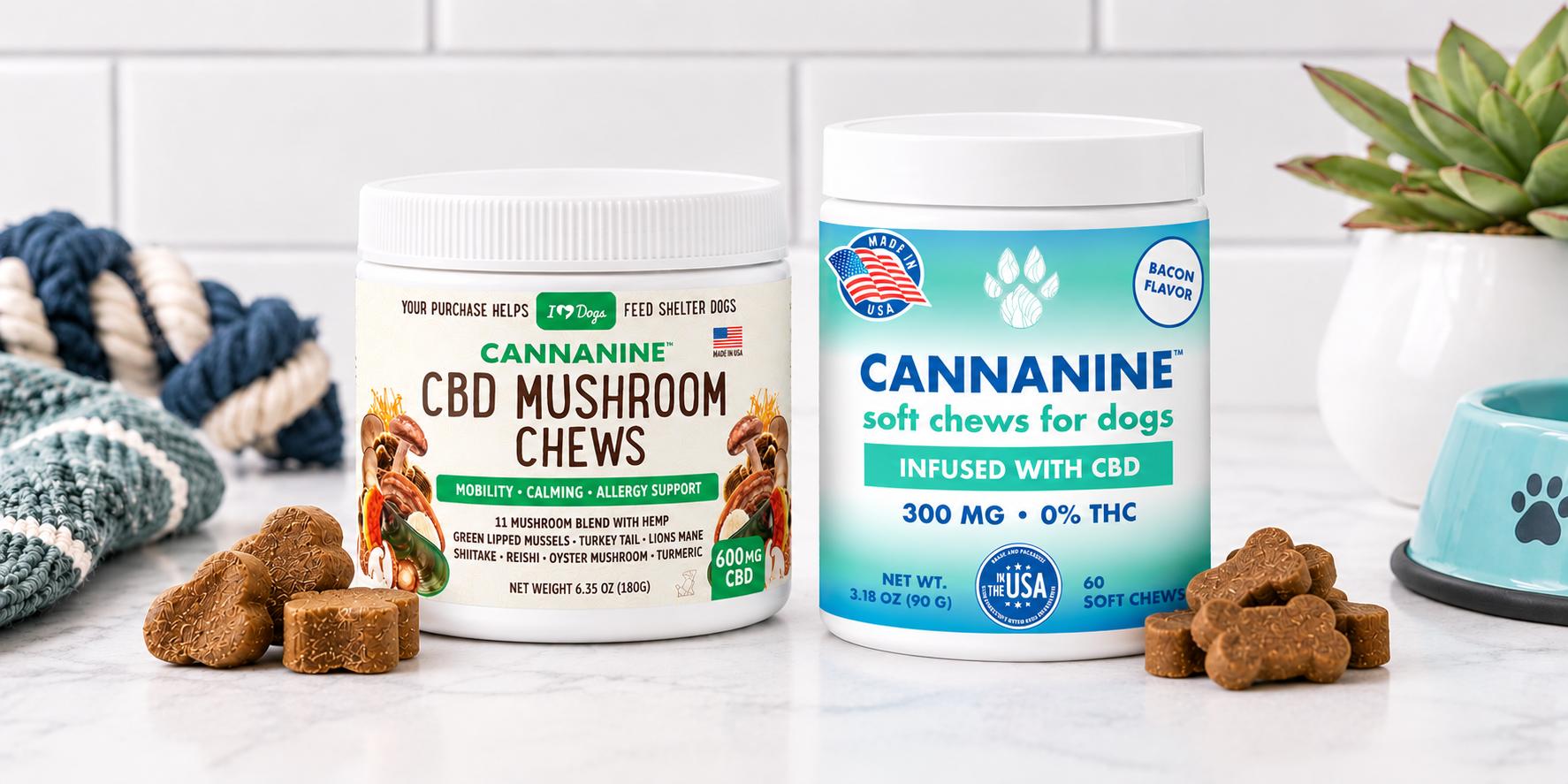CBD Chews