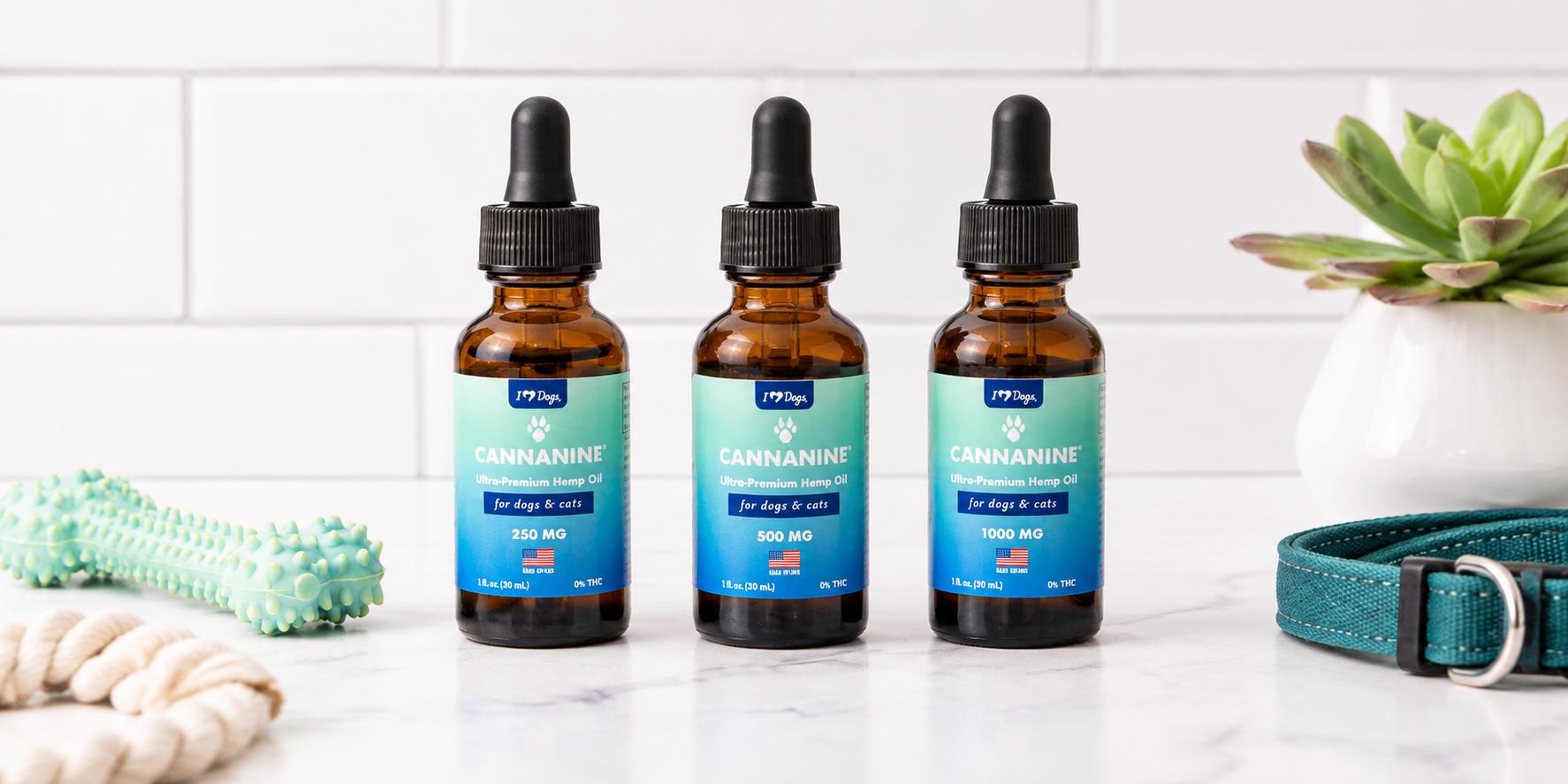 CBD Tinctures