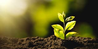 Sustainability & Ethics