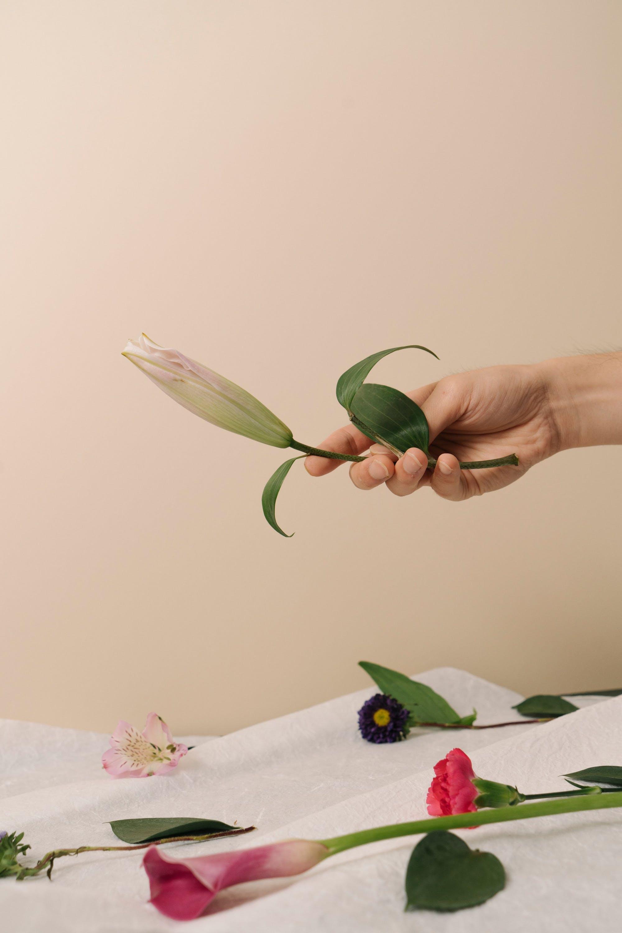 Product and Translation Information