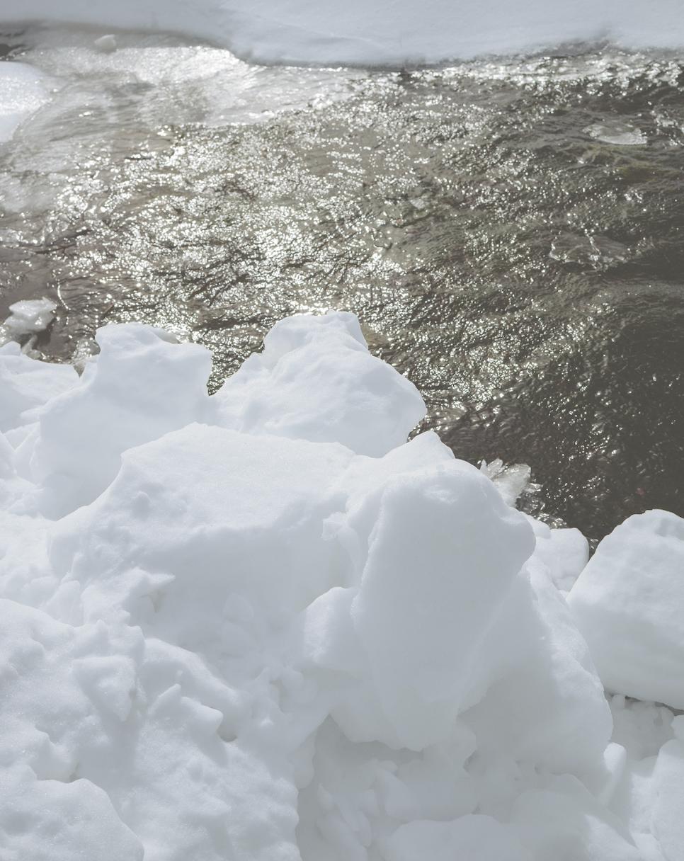 Product and Translation Information