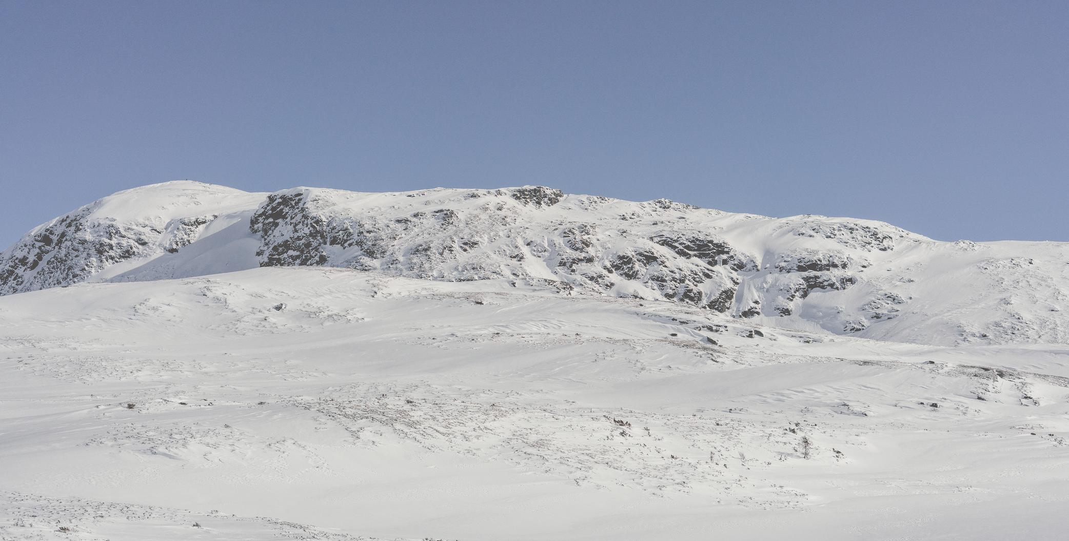 Shipping and Delivery