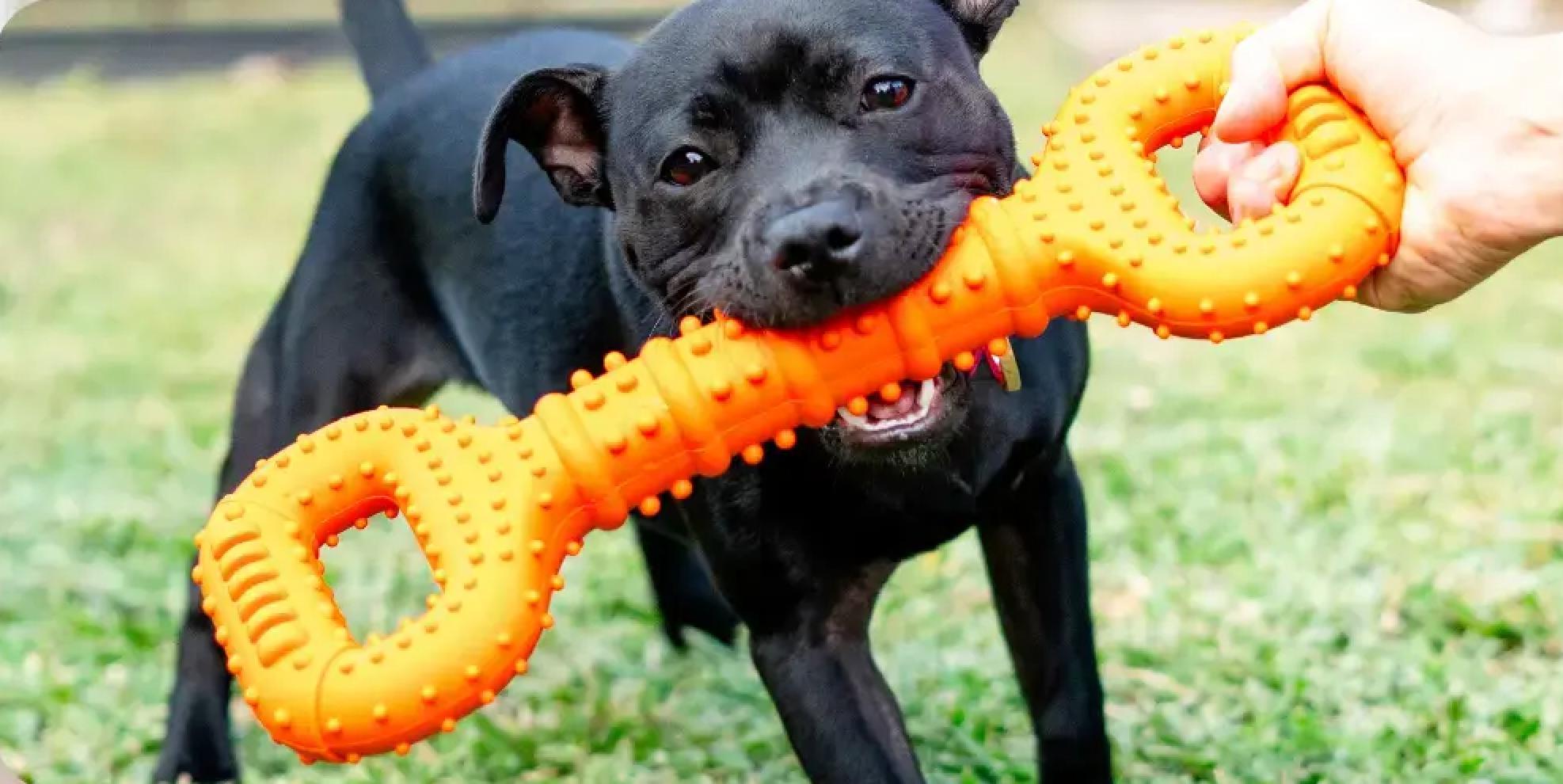 Returns, Guarantees & Replacements