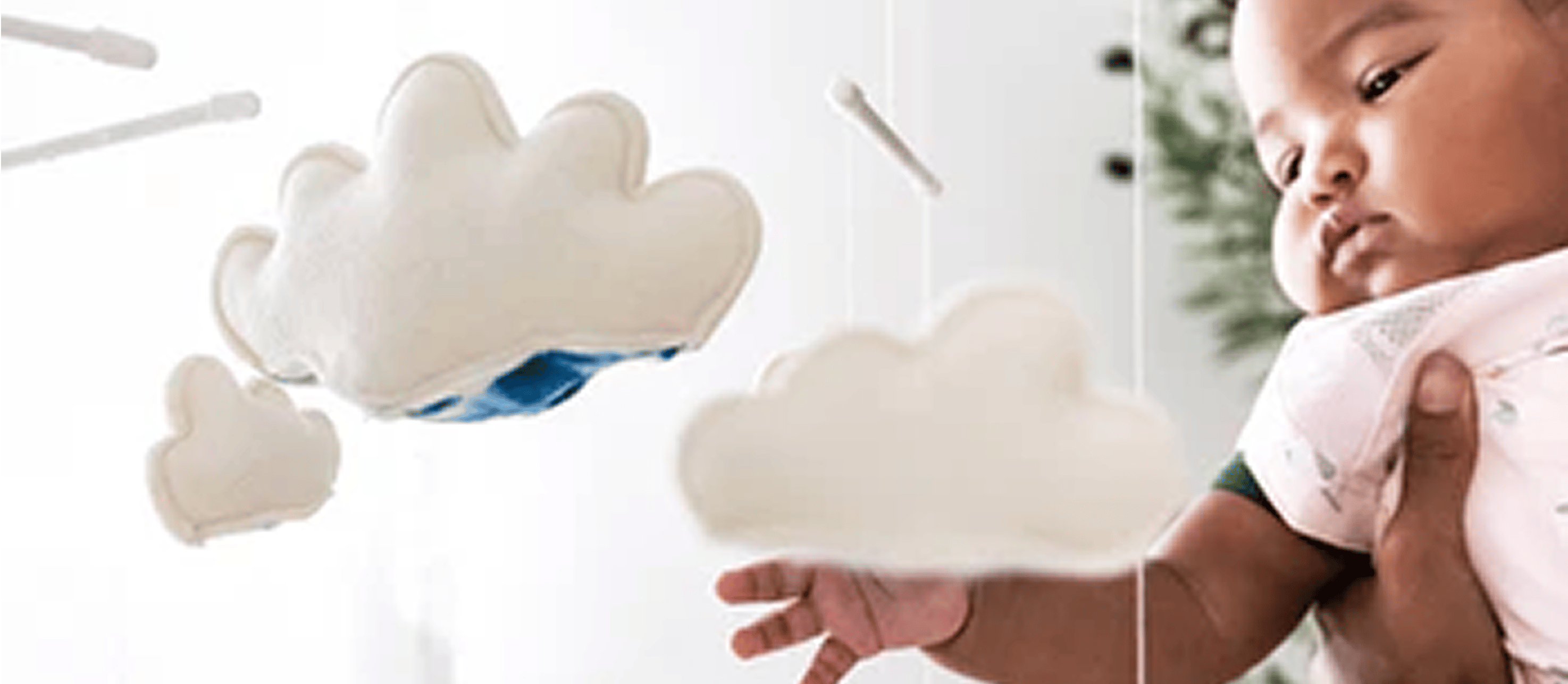 Sky Mobile