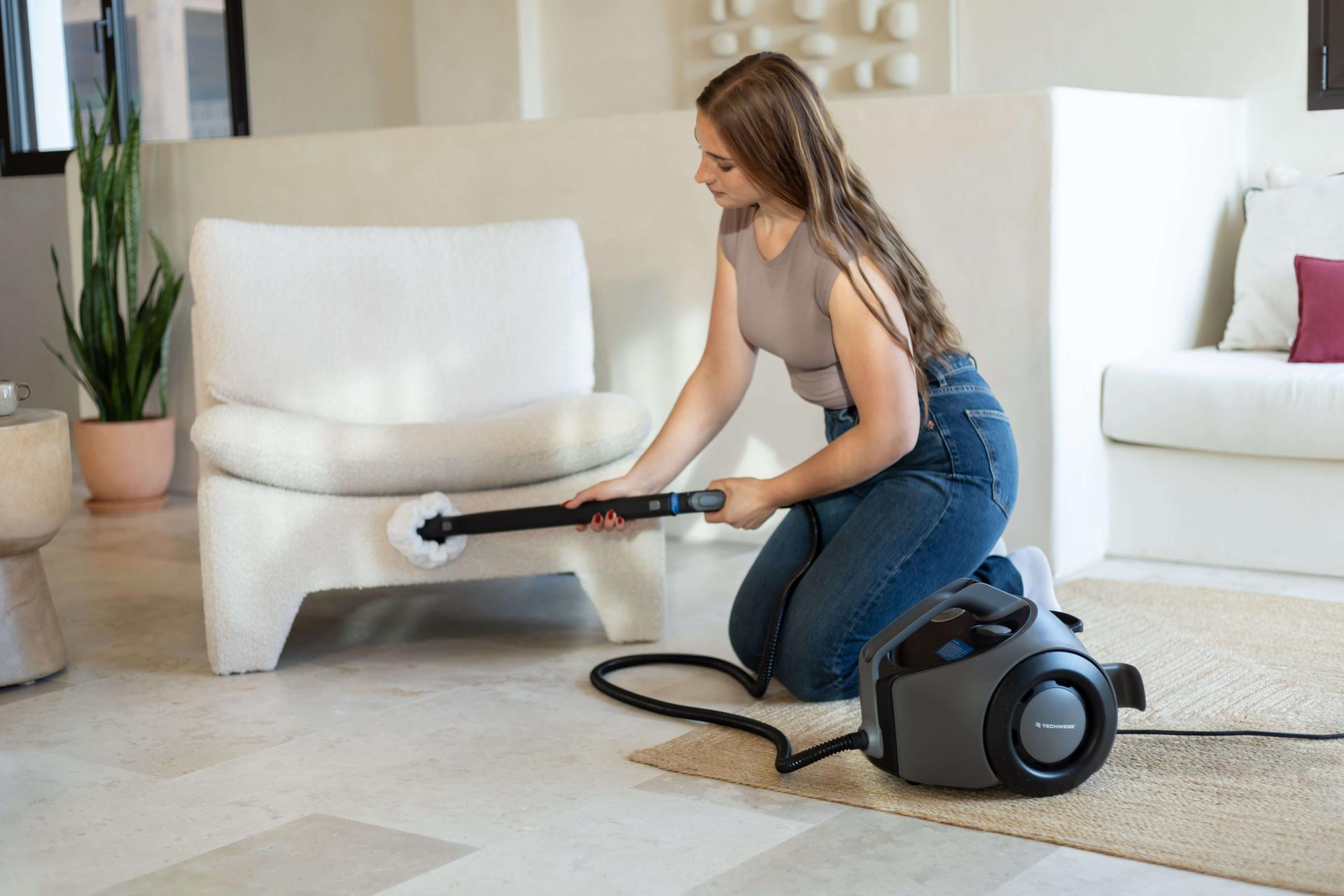 TS1 & TS2 Dampfreiniger