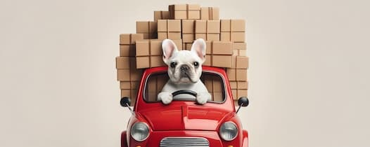 Shipping & Delivery