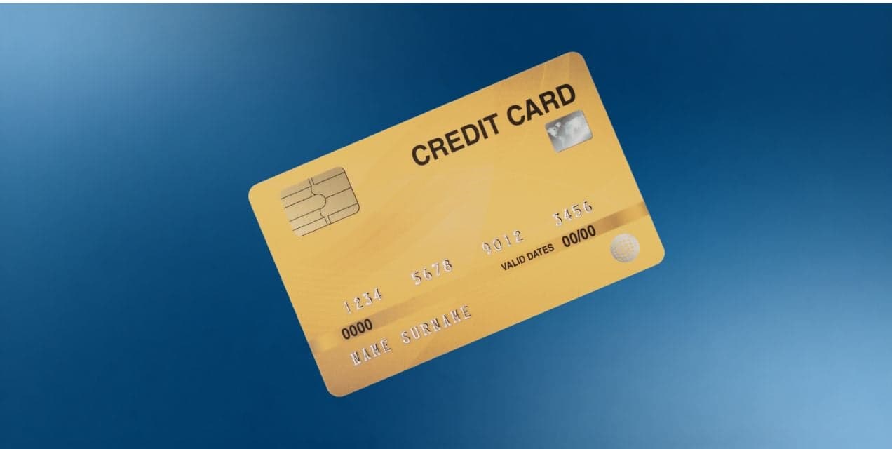 Payment & Invoice