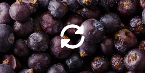 Account & subscription