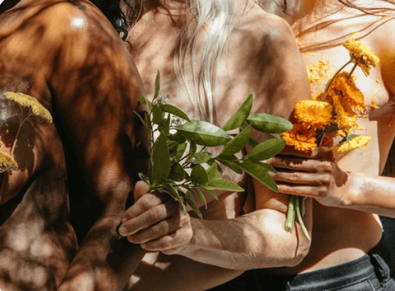 CBD-Free Collection