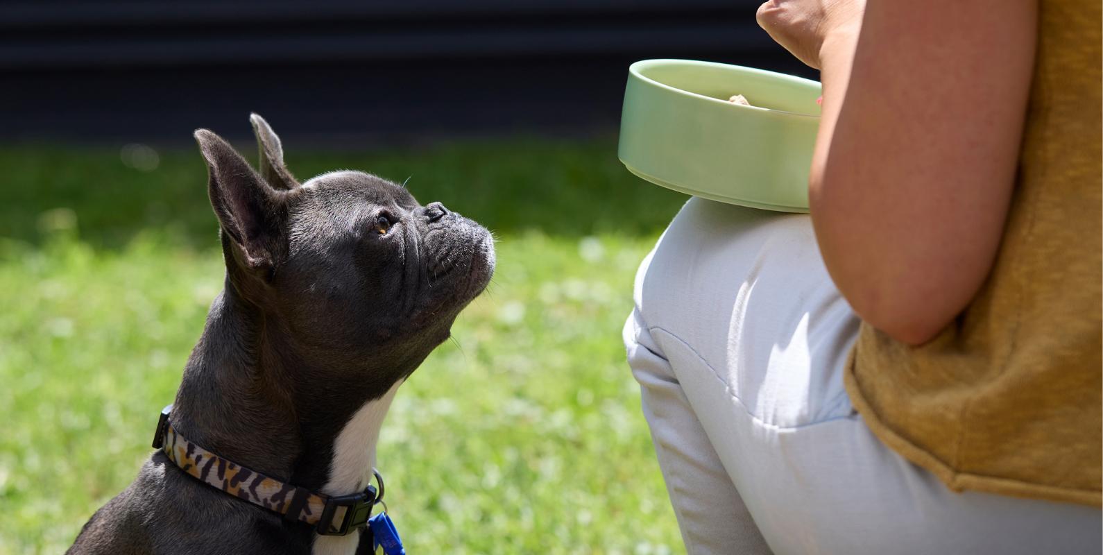 Manage My Subscription