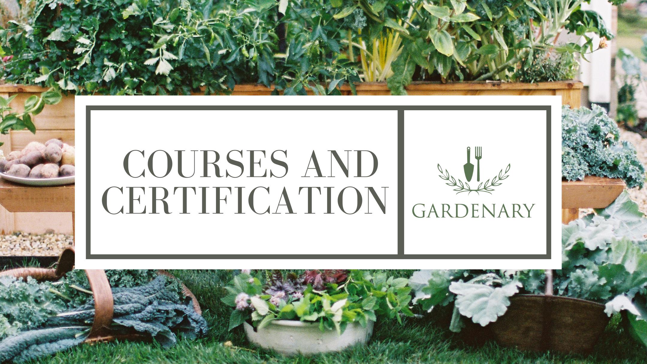 Course & Certification Support