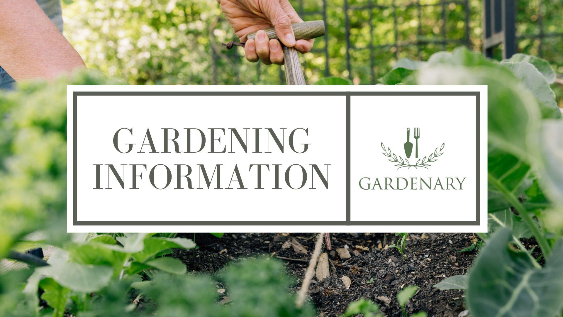 Gardening Information