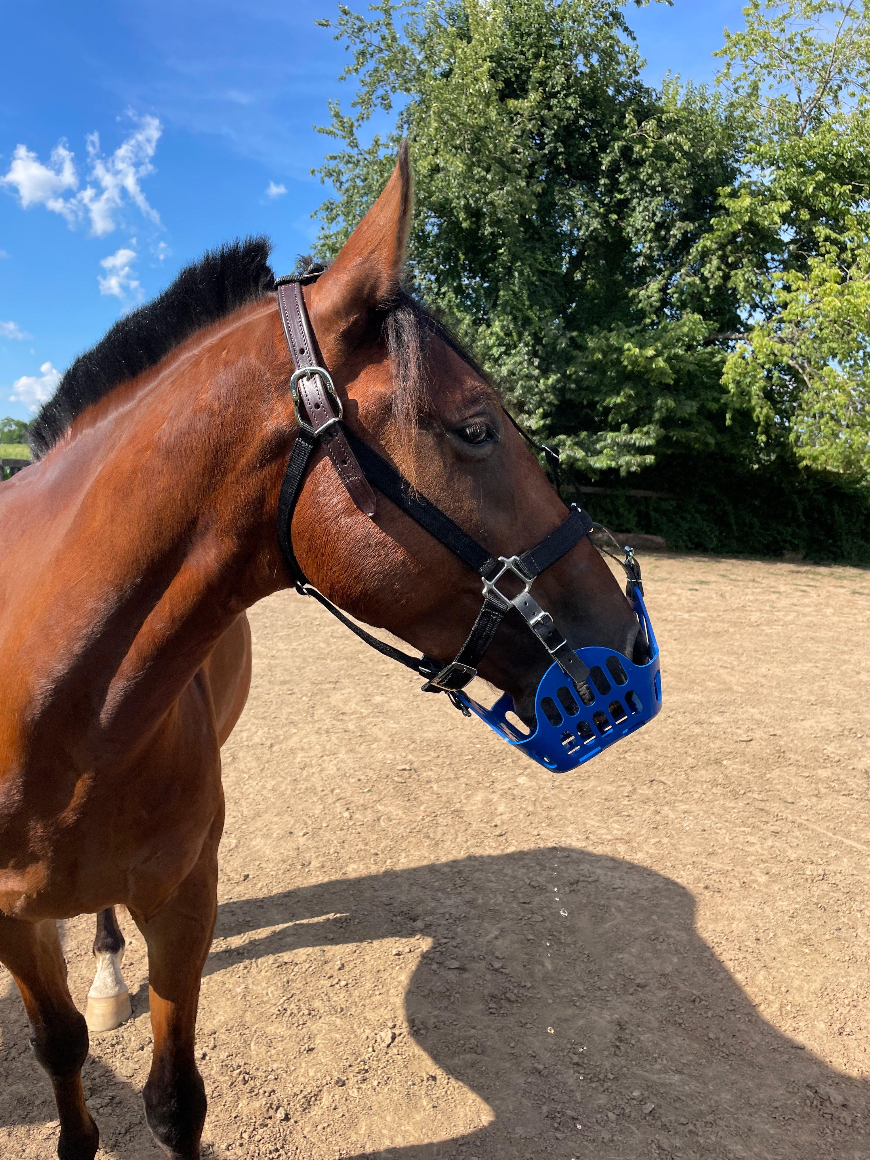 MUZZLE FIT & TROUBLESHOOTING