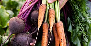 Learn about Vegetables