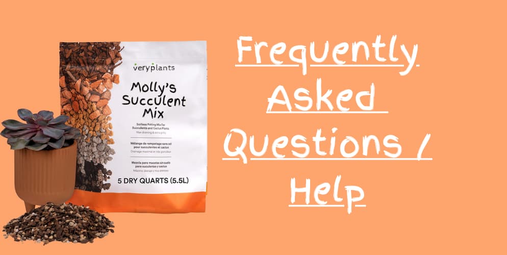 Molly's Succulent Mix FAQ