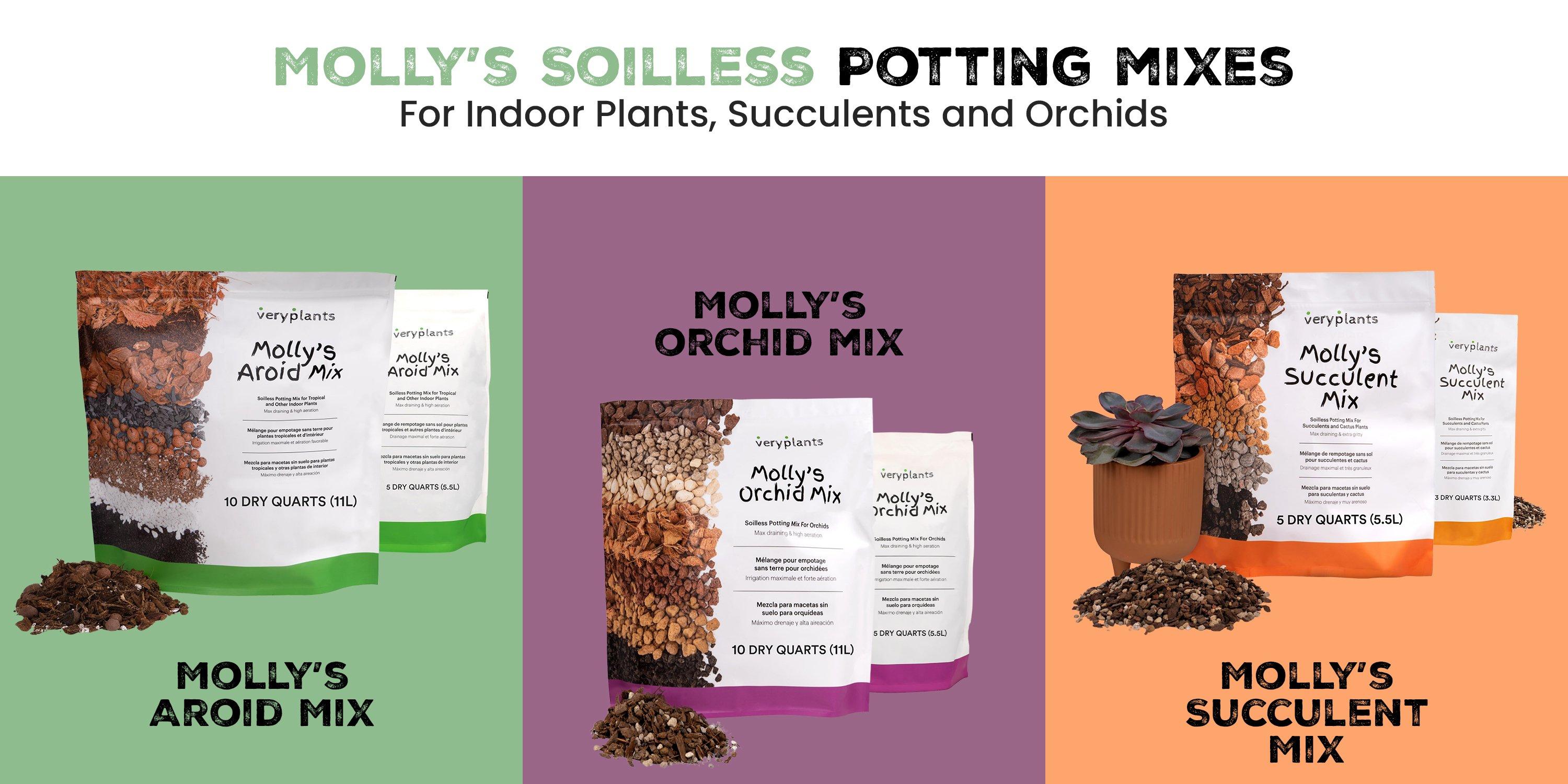 General FAQ of Potting Mixes