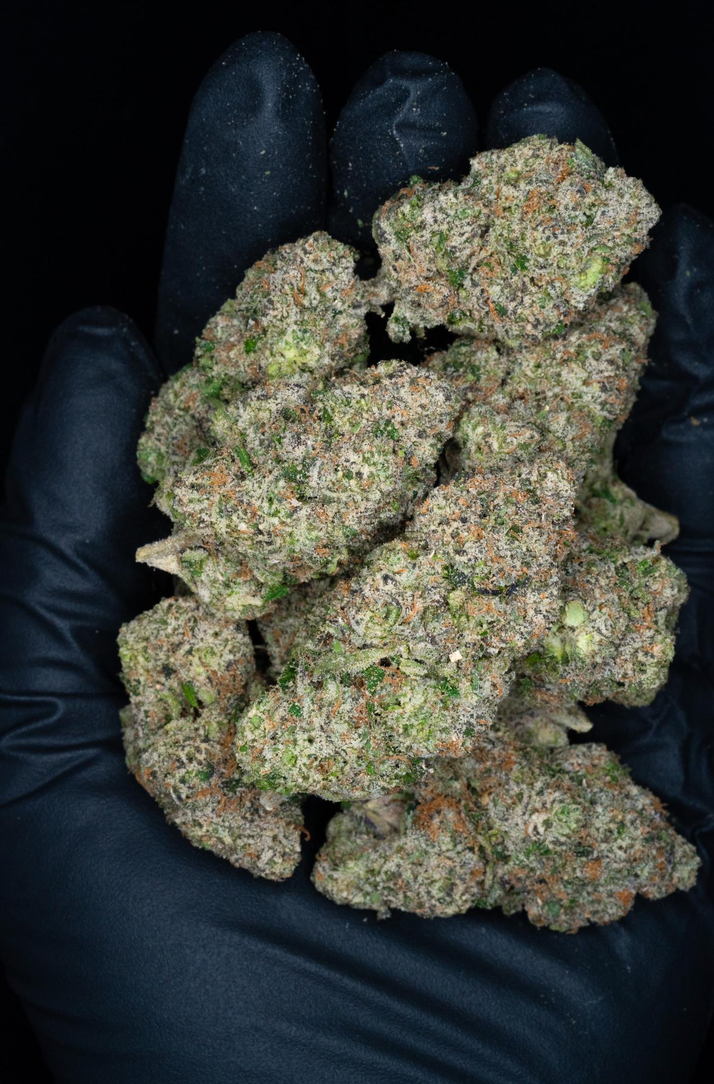 WHOLESALE / BULK