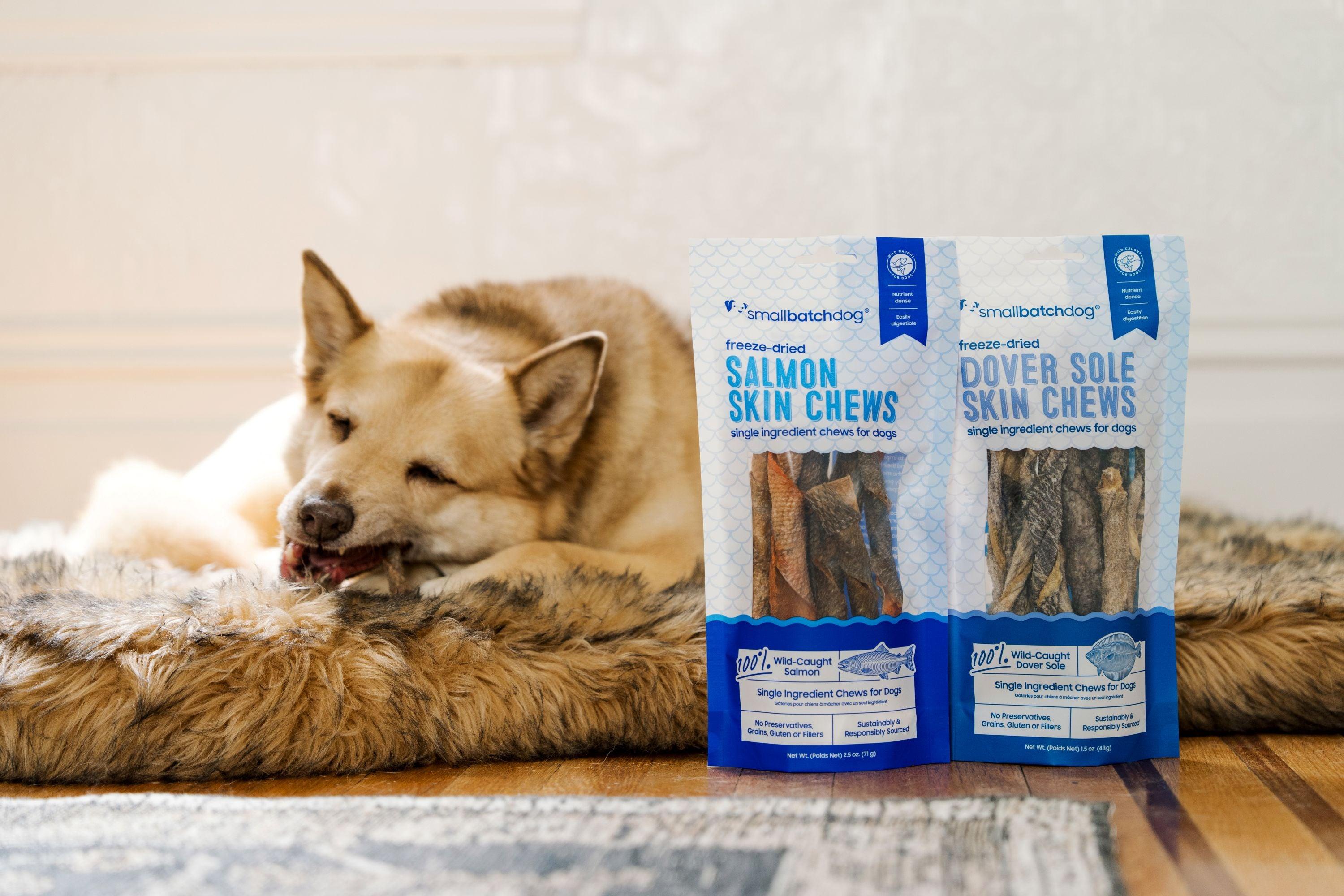 NEW Fish Chew FAQs