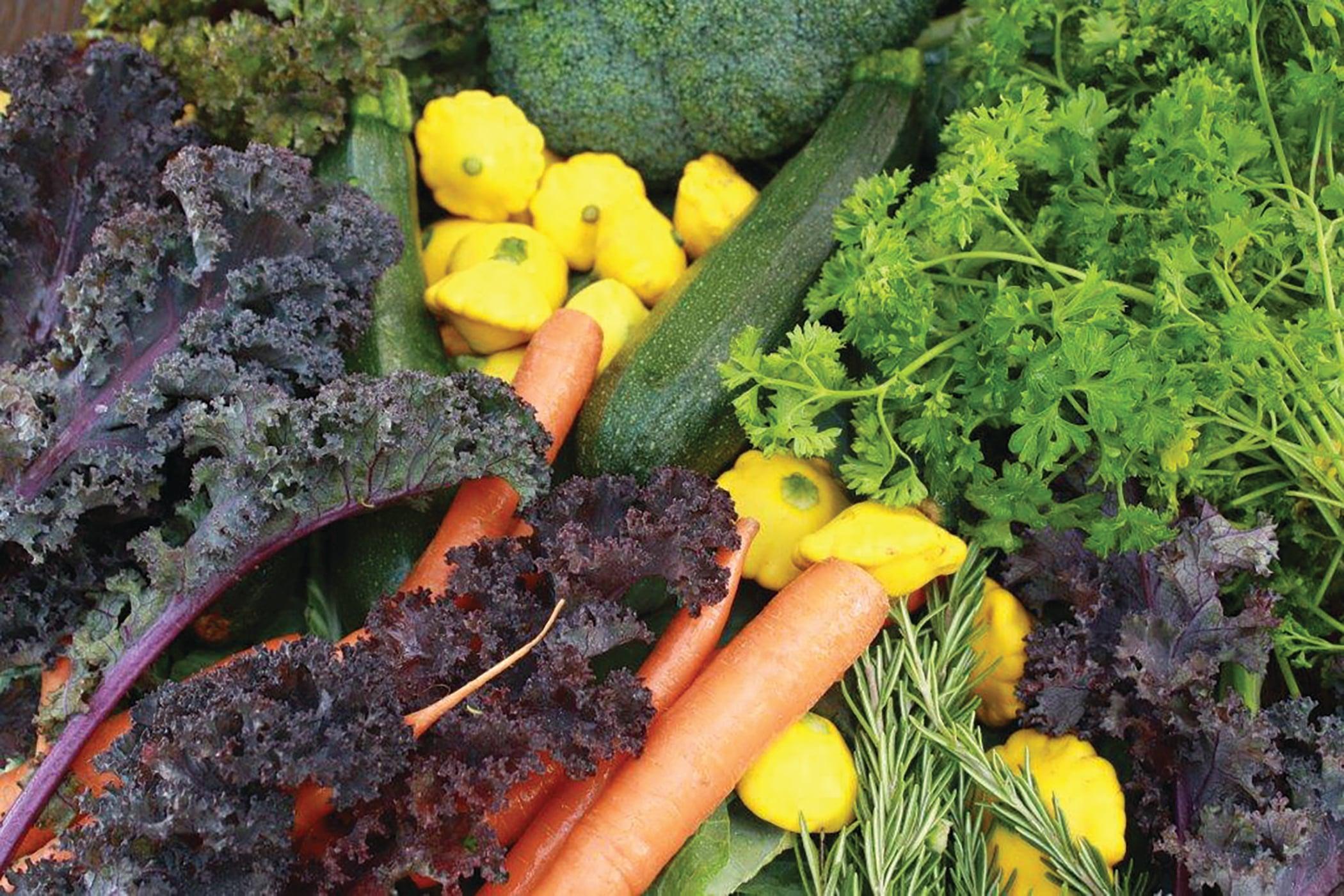 Ingredient Sourcing